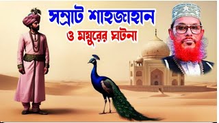 সম্রাট শাহজাহান ও ময়ূরের ঘটনা  সম্রাট শাহজাহান  ওয়াজ দেলোয়ার হোসেন সাঈদী  Waz Saidi [upl. by Druci849]