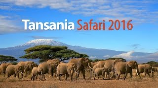 Tansania Safari 2016 [upl. by Aihpos296]