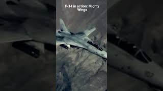 F 14 Tomcat in action Mighty Wings [upl. by Berwick369]