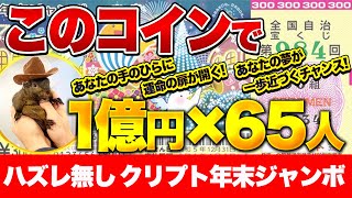 【締切】仮想通貨ボランティアです。このコインのみで、1億円を65人で獲得します。 [upl. by Neelat]