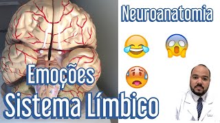 Sistema Límbico e as Emoções  Neuroanatomia [upl. by Ridglee]