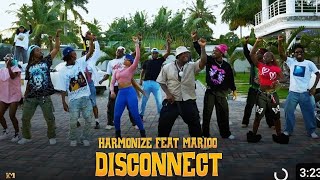 Harmonize Feat Marioo  Disconnect Dance Video part 2 [upl. by Bernelle]