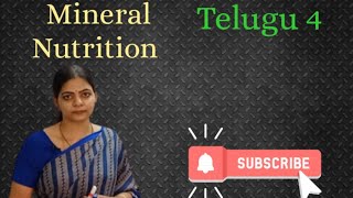 Mineral Nutrition In telugu 4 l Class 11 NCERT Neet Biology l LATHA AKULA Biology Tutorials l [upl. by Bradley51]