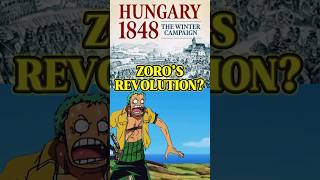 Connecting Zoro to the Hungarian Revolution ⚔️ animecharacter geetiyo onepiece zoro [upl. by Landmeier]