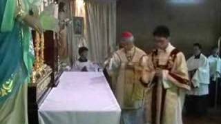 Cardinal Zen Pontifical Mass in Latin Part 1 [upl. by Leede]