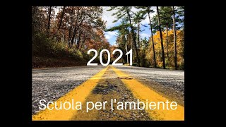 Valutazione del danno ambientale ai sensi del DLgs 15206 [upl. by Lednek]