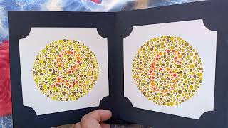 COLOUR BLINDNESS TEST CAPFSSC GD Army [upl. by Aracaj667]