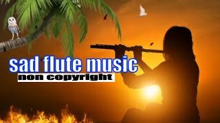 sad flute music  sad background music  free sad background music [upl. by Rodoeht502]