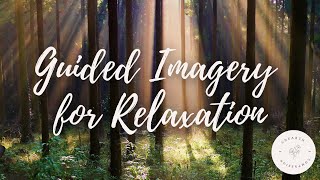 5 Minute Guided Imagery Meditation for Relaxation  Meditation to Relax [upl. by Ilse]