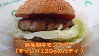 黒毛和牛バーガーとスパイシーポテトの店『ハンドメイドキッチンOJ』大分県日田市 [upl. by Eimme]