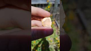 Beach geode piece thefinders crystals semipreciousstone [upl. by Rochell172]