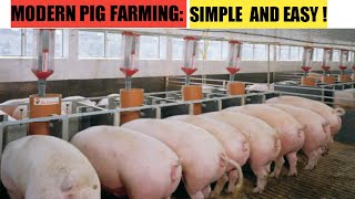 How To START A Successful PIG FARM Business   2022 [upl. by Ybbil]