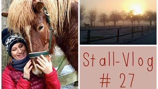 StallAlltag Reitunterricht auf der Ovalbahn  Ich reite doch einen Lipizzaner  StallVlog 27 [upl. by Hedi]