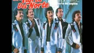 contrabando y robo los tigres del norte 1976 [upl. by Yetak]