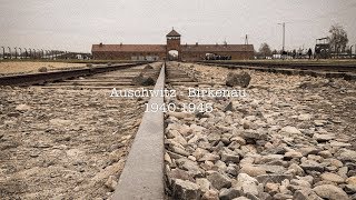 The harrowing story of AuschwitzBirkenau  WARNING contains camp footage [upl. by Ecahc]