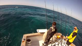 Catching Ballyhoo  Islamorada amp Florida Keys Fishing Trips amp Charters [upl. by Mackey]