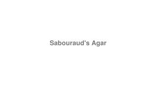 How to Pronounce quotSabourauds Agarquot [upl. by Maxwell]