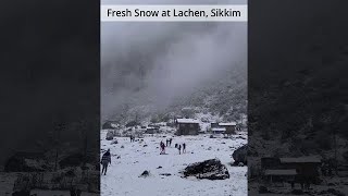 Fresh Snowfall in India at Lachen Sikkim White winter ground land Lachen to Gurudongmar Lake 2021 [upl. by Neufer343]