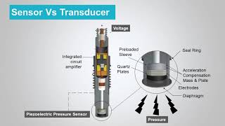 Sensor Vs Transducers [upl. by Atidnan499]