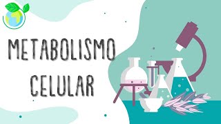 Laboratorio de Biología El metabolismo [upl. by Bores]