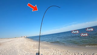 SURF Fishing the Alabama GULF Coast in Late Summer 2021 NEW Species on Channel [upl. by Sheryle590]