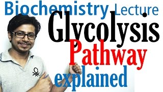 Glycolysis biochemistry [upl. by Nahoj]