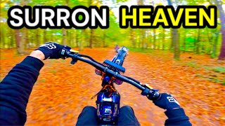 SURRONS Invade A HUGE Woodland  72V Twin Torp  Custom Surron Xs [upl. by Gaut]