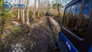 TrailMarco leads ride in Picayune strand Offroading in SWFL Jeep Wrangler Jeeping [upl. by Onitram]