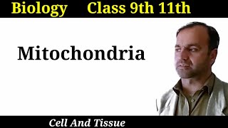 Mitochondria  Structure and functions of mitochondria  Cell organelles  Class 9 and 11 [upl. by Lalad]