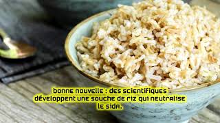 Bonne nouvelle  des scientifiques développent une souche de riz qui neutralise le Sida [upl. by Nirag]