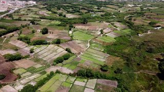 Entreprenariat Agricole À la Découverte de Dangou Horticole [upl. by Ayocal]