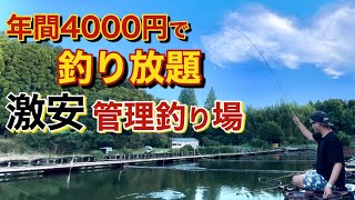 廃業した管理釣り場が激安でへらぶな釣りができるようになったので調査してみた！ [upl. by Harms316]