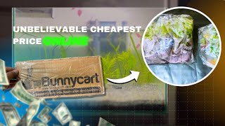 Unboxing amp Review Premium Aquatic Plants from Bunnycart for Just ₹100 [upl. by Richmal]