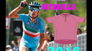 Vincenzo Nibali 2016  Never Give Up [upl. by Tonina30]