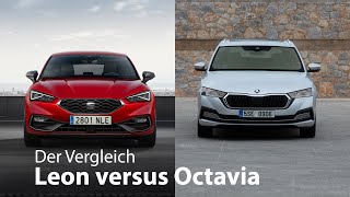 Der Vergleich Seat Leon vs Skoda Octaviaund die anderen zwei 4K  Autophorie [upl. by Rangel]