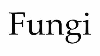 How to Pronounce Fungi [upl. by Xuerd]