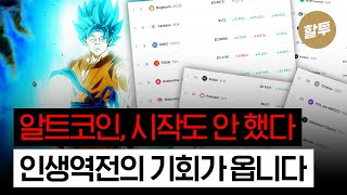 1353 비트코인 10만불 시대 알트코인은 시작도 안했다 [upl. by Anaele]