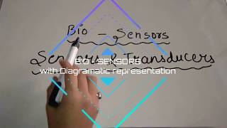 Bio Sensor explanation with Diagramatic representation [upl. by Tutto]