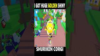 Pet Simulator 99 I Got Huge Golden Shiny Shuriken Corgi [upl. by Earla]