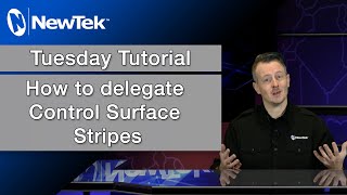 Tuesday Tutorials  How To Delgate Control Surface Stripes [upl. by Franzoni312]