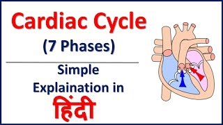 Cardiac Cycle 7 Phases Simple Explaination in Hindi  Bhushan Science [upl. by Haney]