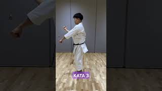 Kata 3 combatsport dojowwkf taekwondo karatedojo martialarts dojo boxing judo kungfu [upl. by Eeleimaj]