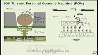 NextGeneration Sequencing Technologies  Elaine Mardis 2012 [upl. by Belle551]