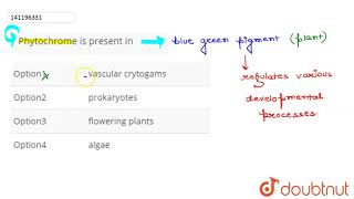 Phytochrome is present in  12  PLANT GROWTH AND DEVELOPMENT  BIOLOGY  ARIHANT NEET  Dou [upl. by Cohdwell]