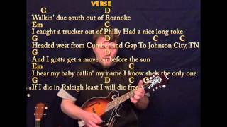 Wagon Wheel  Mandolin Cover Lesson in G with ChordsLyrics [upl. by Bender522]