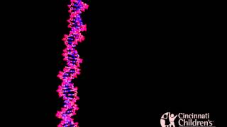 Inhibitors of Nucleic Acid Synthesis [upl. by Brande424]