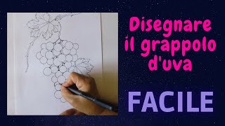 Disegnare il grappolo duva [upl. by Edea]