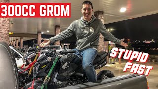 I BOUGHT DOM THE GROM One Of The FASTEST Honda Groms In The WORLD 300CC SWAPPED [upl. by Anabelle169]