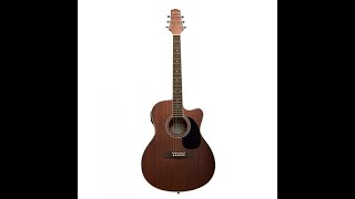 Boroughs AcousticElectric Guitar Deal [upl. by Sidoney]