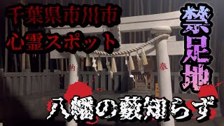 【超有名禁足地】八幡の藪知らず 千葉県市川市心霊スポット [upl. by Hewie]